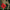 Back Vitalizer™ -