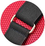 Back Vitalizer™ - "Tried all the seat back supports for over 30 years ... this is the Best!" - rt