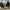 Lumbar Decompressor™ - Professional Self-Care Lumbar Back Pain Traction Relief - Ajuvia Life Sciences / Perspectis, Inc.