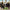 Neck Vitalizer™ - Professional Neck Shoulder Chest Posture Pain Relief - Ajuvia Life Sciences / Perspectis, Inc.
