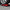 Back Vitalizer™ - 