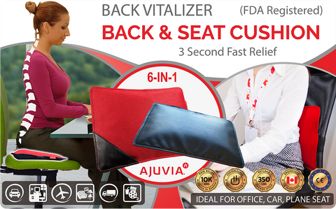AJUVIA Back Vitalizer - Car Lumbar Support for Driving Seat - Car Pillow  for Driving Seat - Lumbar Support for Office Chair Back Support Lumbar  Cushion - Back Support for Car Seat